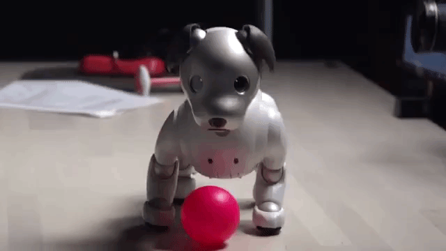 Умный робот-собака с искусственным интеллектом. Sony Aibo купить в Москве по приятной цене